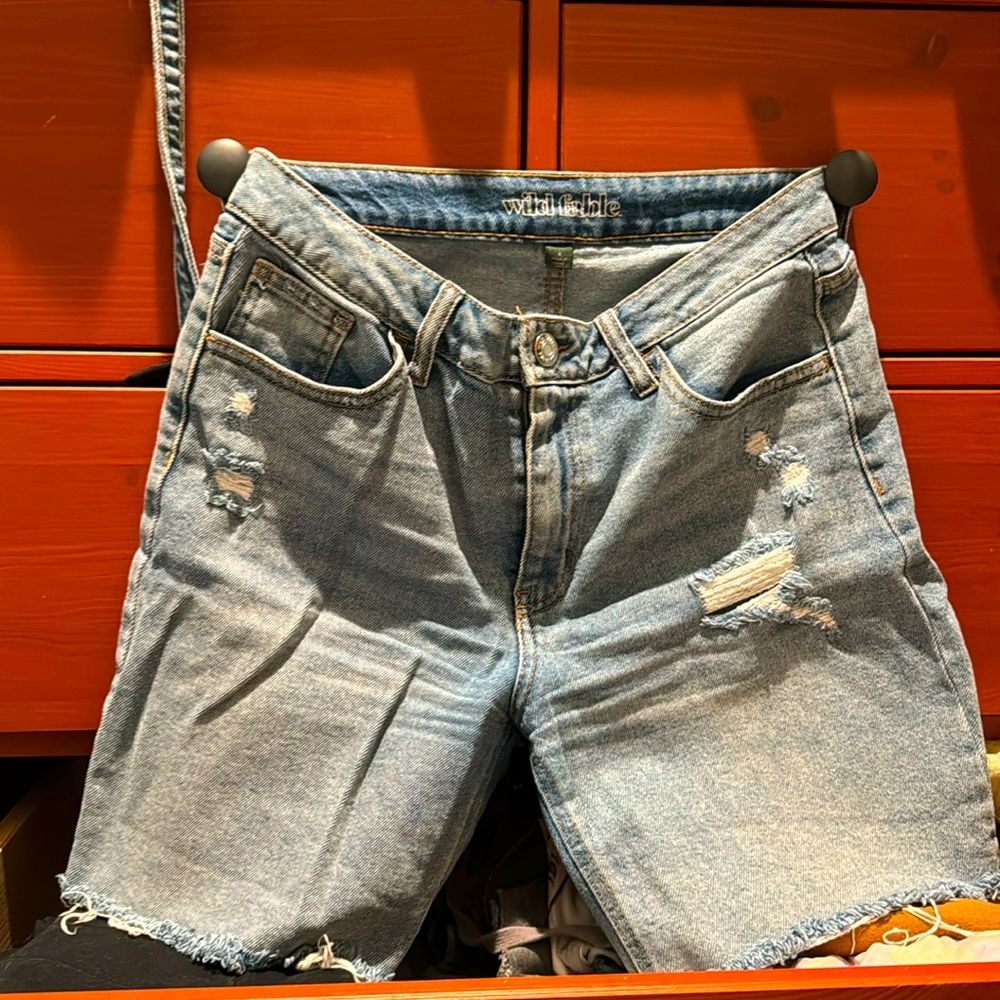 Wild Fable shorts